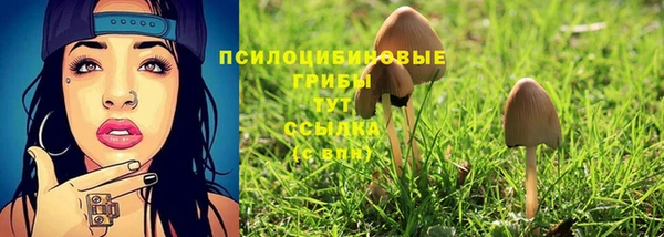 альфа пвп Новокубанск