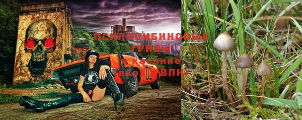 альфа пвп Новокубанск