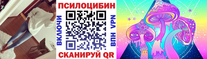 Псилоцибиновые грибы Cubensis  Туапсе 